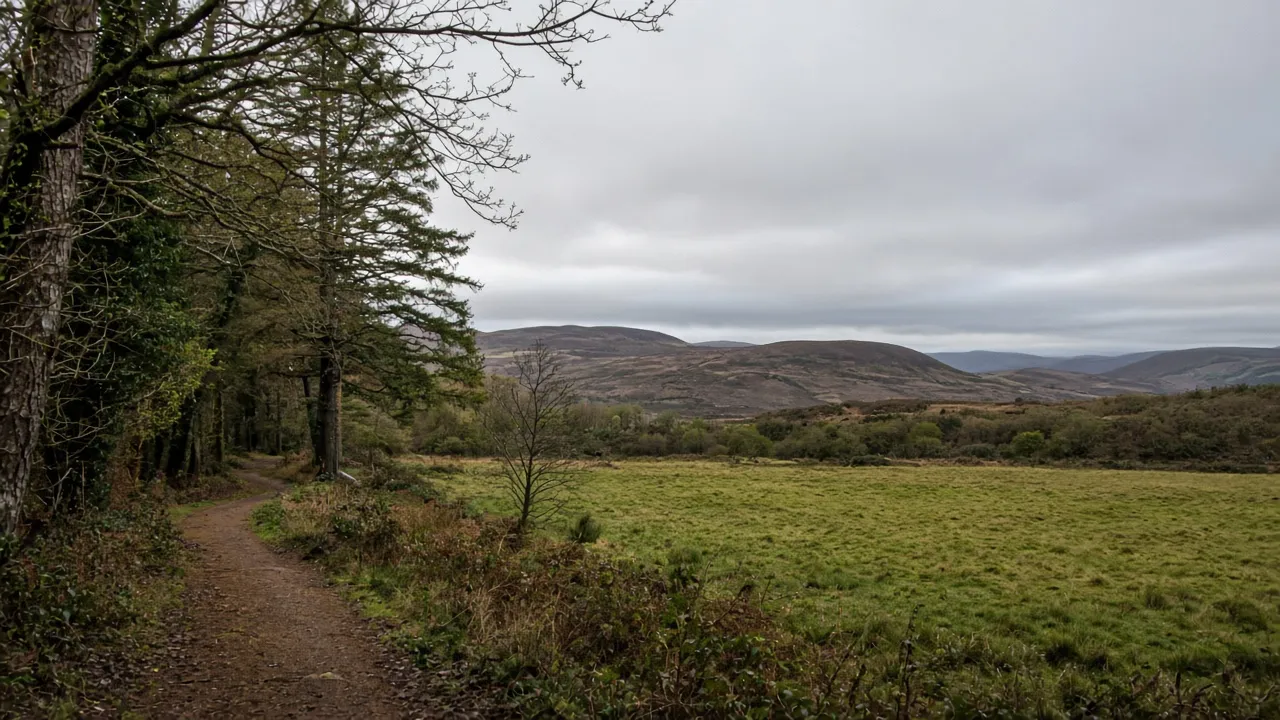 Woodland path near Palacerigg Country Park, Cumbernauld, North Lanarkshire